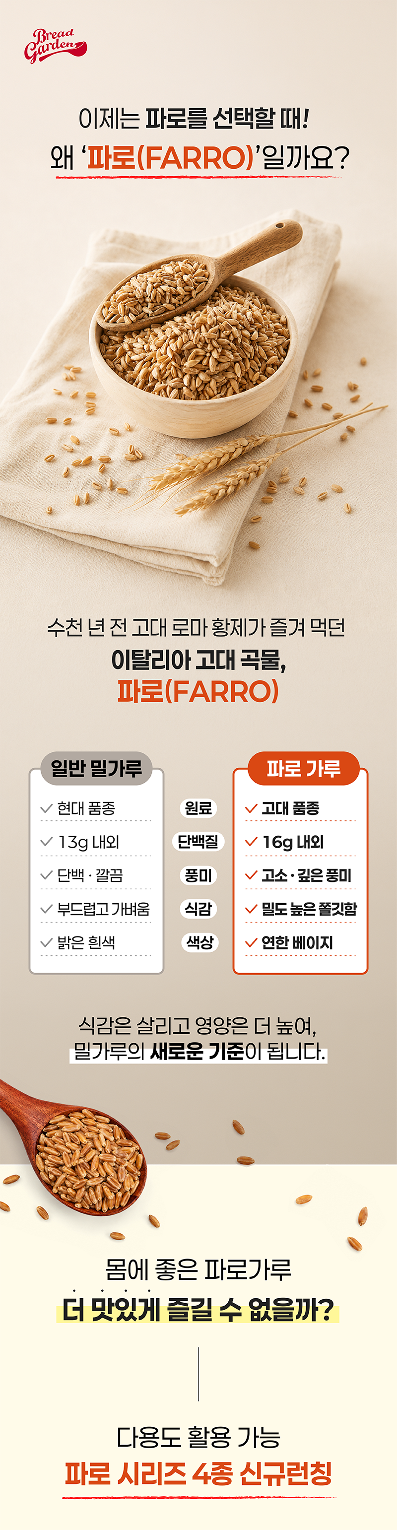 기획전 상단